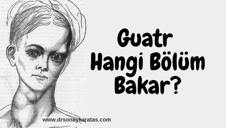 guatr hangi bölüm bakar