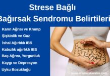Strese Bağlı Bağırsak Sendromu Belirtileri strese bağlı bağırsak sendromu belirtileri
